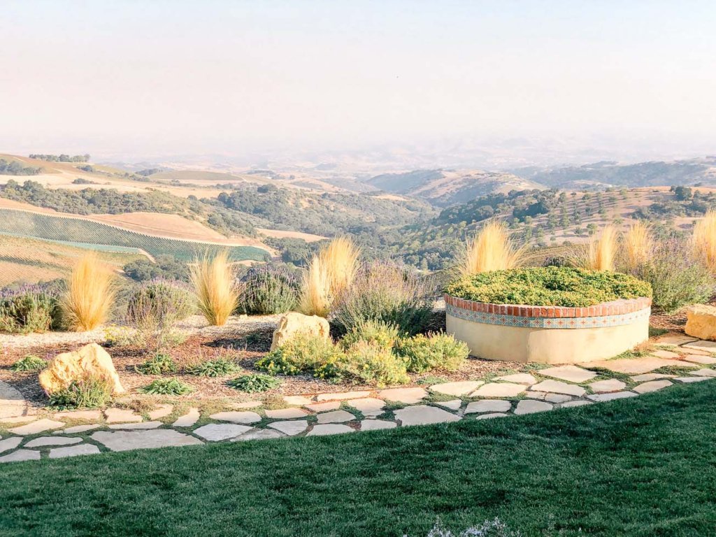 View at Daou Winery in Paso Robles
